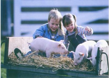 室內采暖系統（熱水伴熱，養殖采暖，太陽能伴熱）
